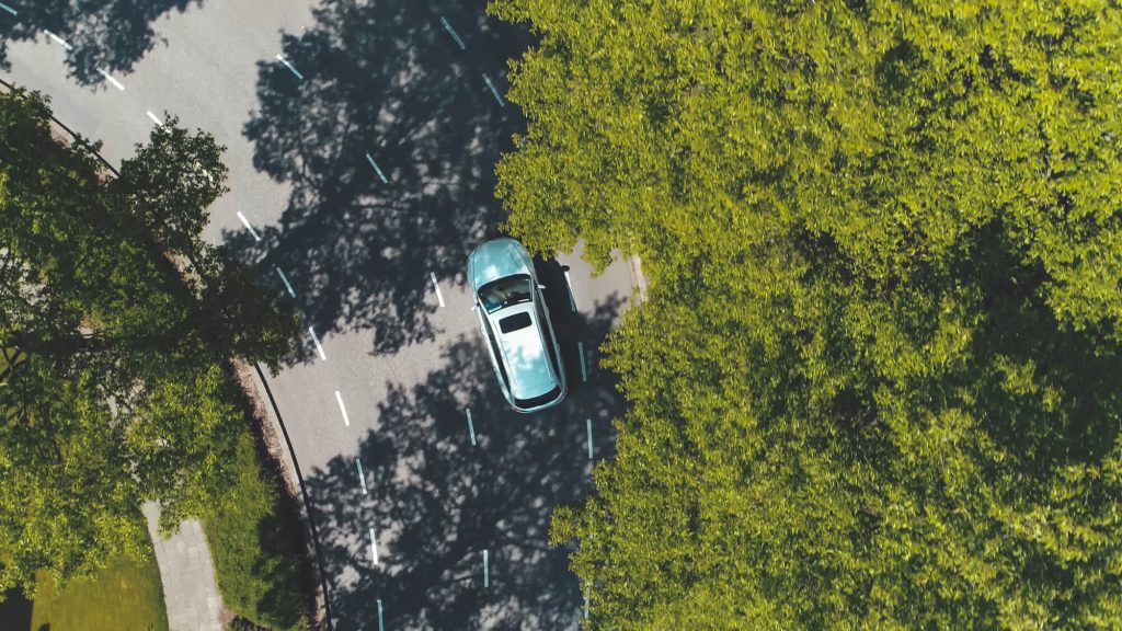 Car driving through tree-lined road - aerial shot