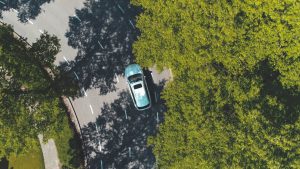 Car driving through tree-lined road - aerial shot